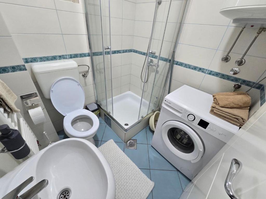 un bagno con WC e lavatrice di Apartman Rada 3 a Bijeljina