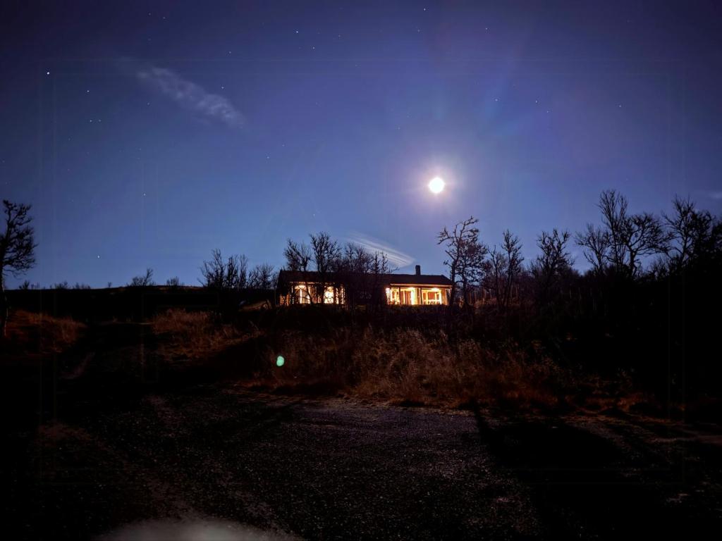 Fotografie z fotogalerie ubytování Bjerghytte Med Fremragende Skiløjper v destinaci Vingelen