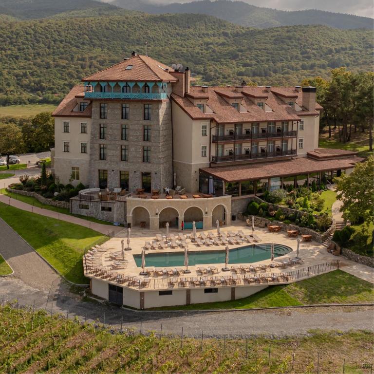 an aerial view of a building with a swimming pool at Agarani Estate in Telavi