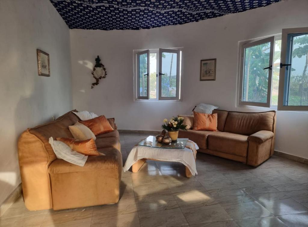 Exodus Eco Camping Lodge& Resturant في Tujering: غرفة معيشة مع أريكتين وطاولة قهوة