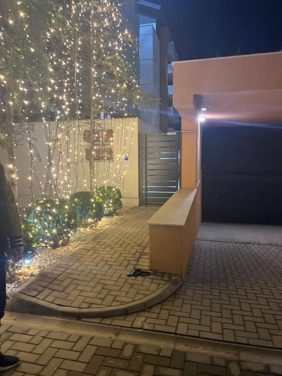 a person standing in front of a building with christmas lights at Adela & Robert Home cu piscină și parcare privată in Giroc