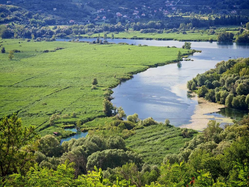 Naturlandskabet i nærheden af lejligheden