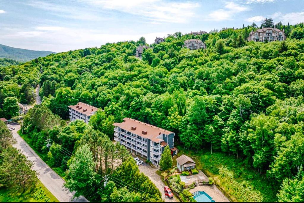 Příroda nedaleko apartmánu