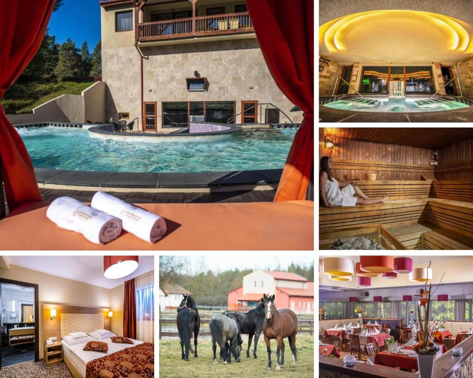 Fotografie z fotogalerie ubytování Erdőspuszta Club Hotel Fenyves v destinaci Debrecín