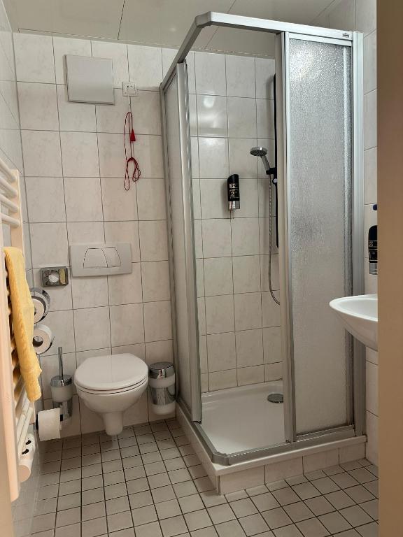 Schlosshotel am Hainich - Single Room