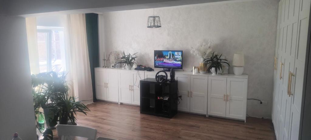 TV a/nebo společenská místnost v ubytování Tudor Centru Apartament
