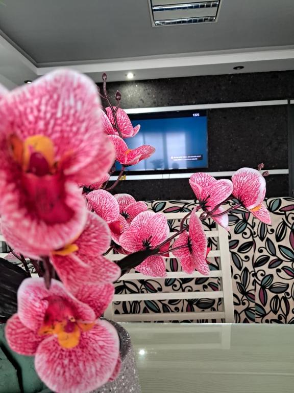Hotel Zepeda - Family Room