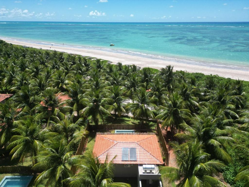 an aerial view of a beach with palm trees at Villas Taturé in São Miguel dos Milagres