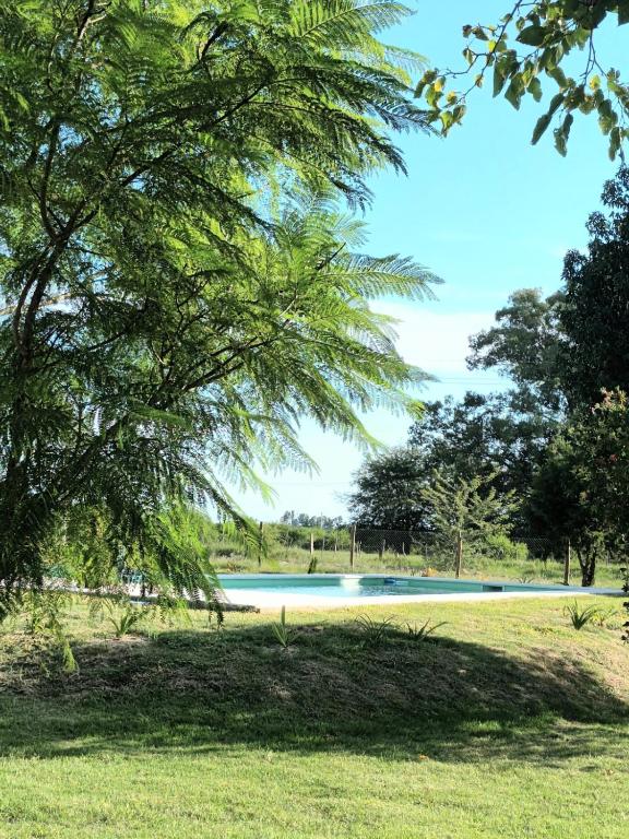 a swimming pool in a park with a tree at complejo cumelen in Gualeguaychú