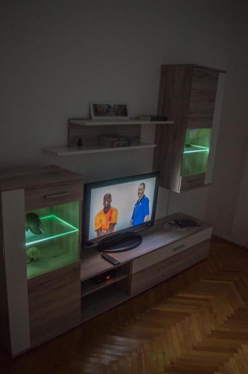 TV a/nebo společenská místnost v ubytování Ranko Apartments