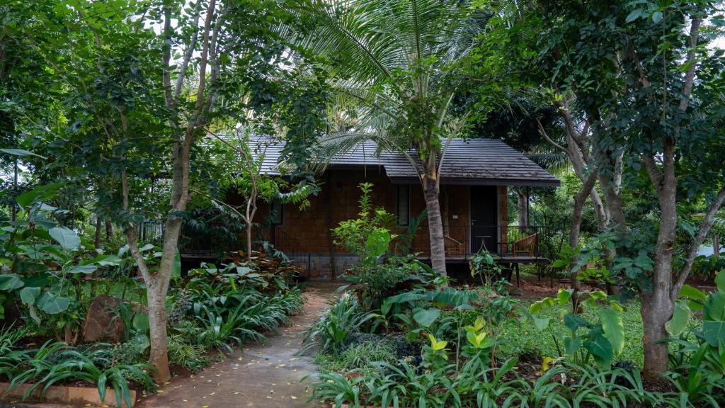 O grădină în afara Trisara Boutique Stay