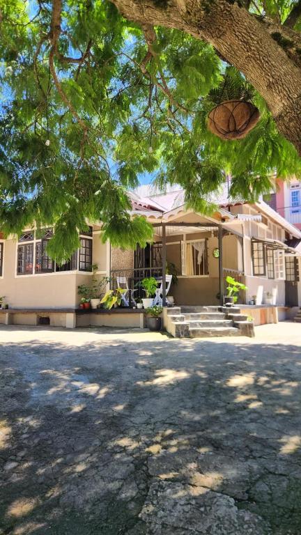 a house with a tree in front of it at Rococo by Concordia Hospitality in Shillong