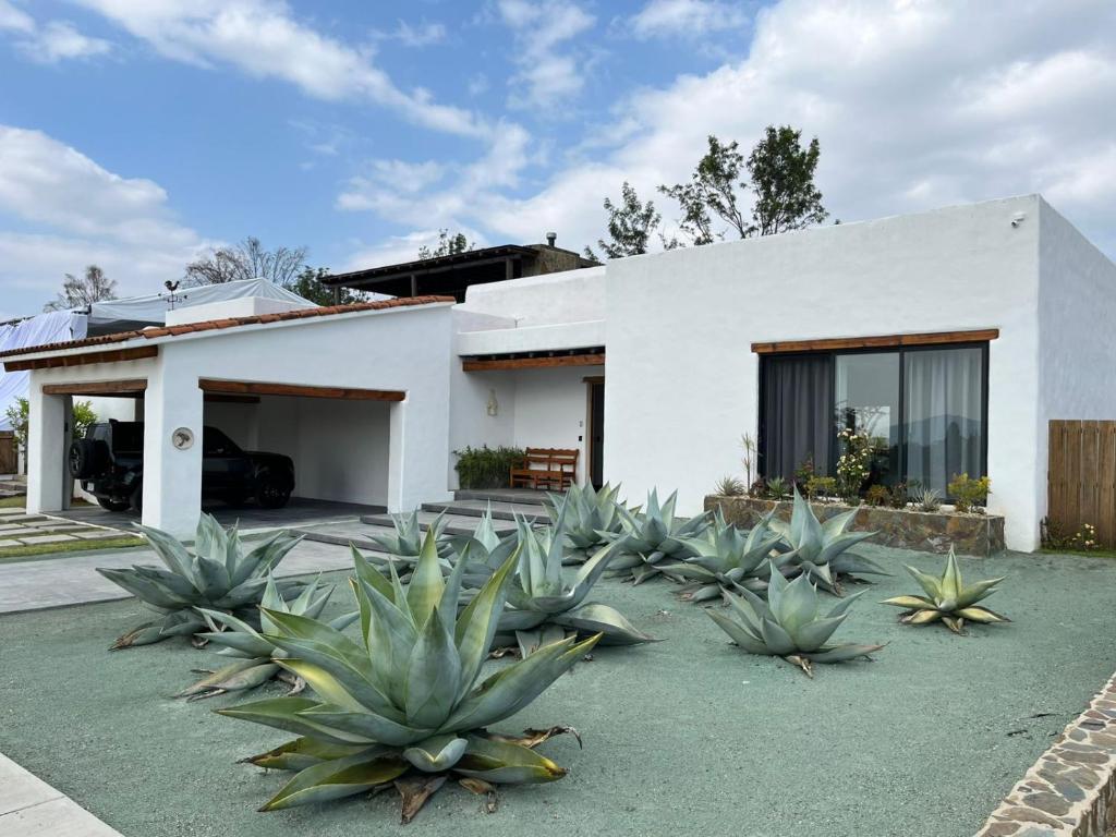 Tòa nhà nơi nhà nghỉ dưỡng tọa lạc