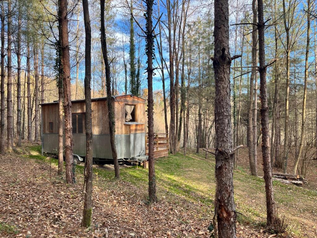 Фотография из галереи Tiny House в городе Saint-Laurent-de-Cerdans