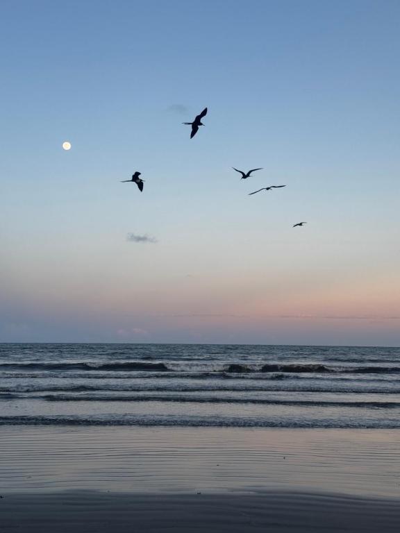 Un paisaje natural cerca del departamento