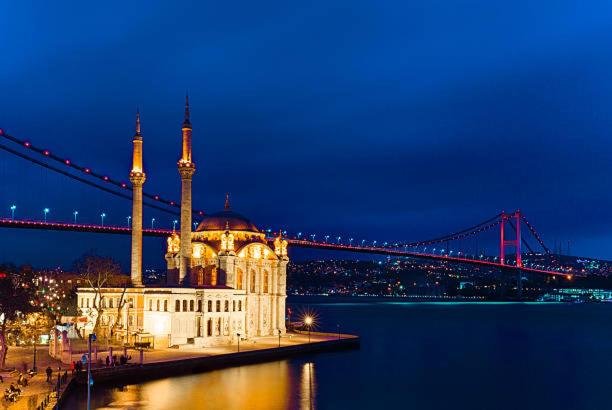 ein großes Gebäude mit einer Moschee und einer Brücke bei Nacht in der Unterkunft Elite Marmara Bosphorus Pansiyon in Istanbul
