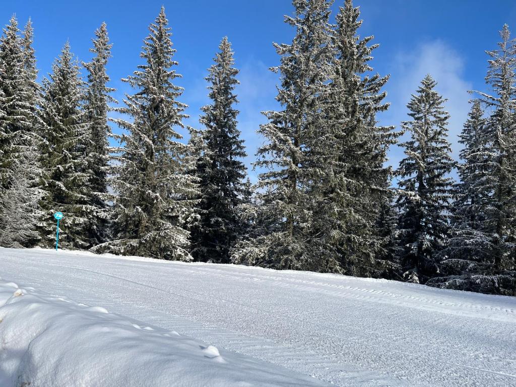a snow covered slope with trees in the background at MONTANA in Jahorina