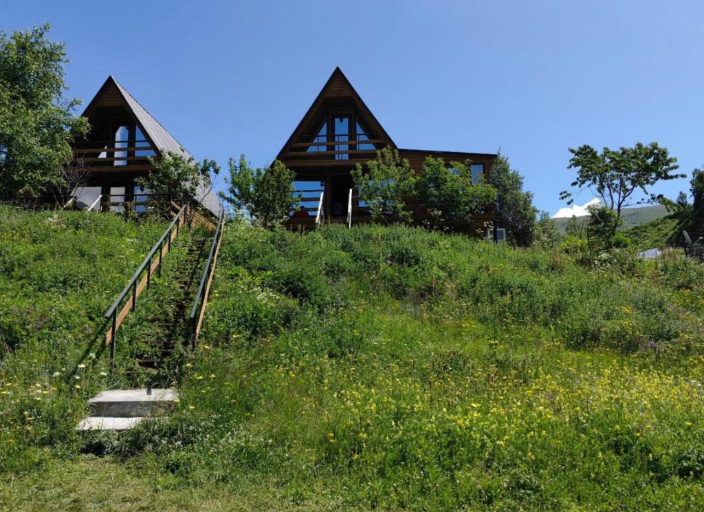 a house sitting on top of a grassy hill at Donata Cottages kazbegi in Stepantsminda