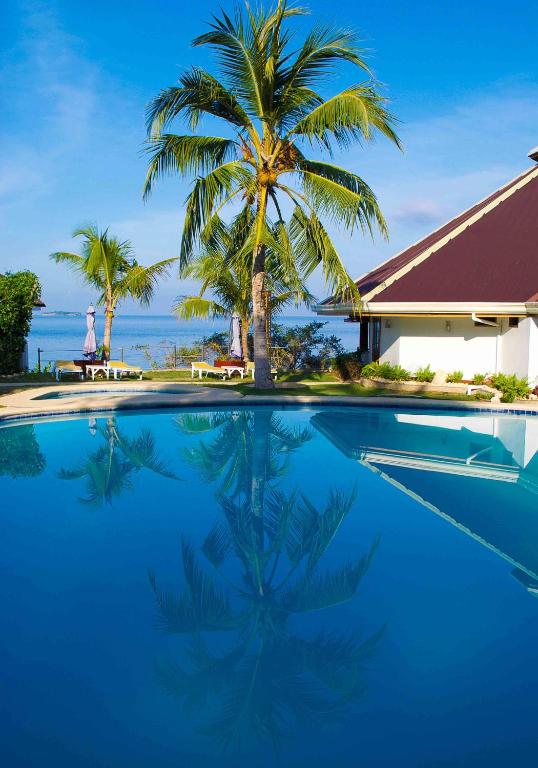 Bazén v ubytování Quo Vadis Dive Resort nebo v jeho okolí