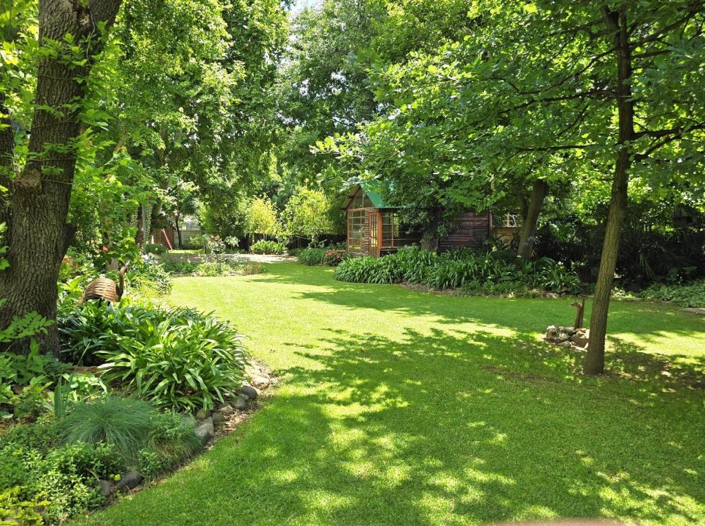 Сад в Grazia in King