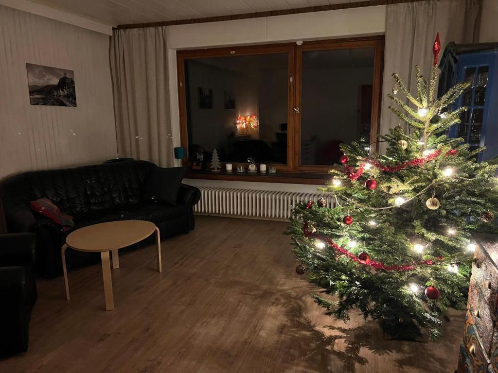 Et opholdsområde på Ruhiges Ferienhaus in Burgnähe