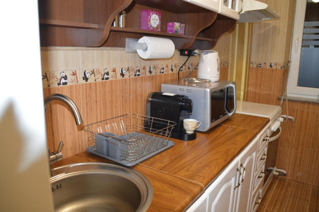 a kitchen counter with a sink and a microwave at Iza Suite in Craiova
