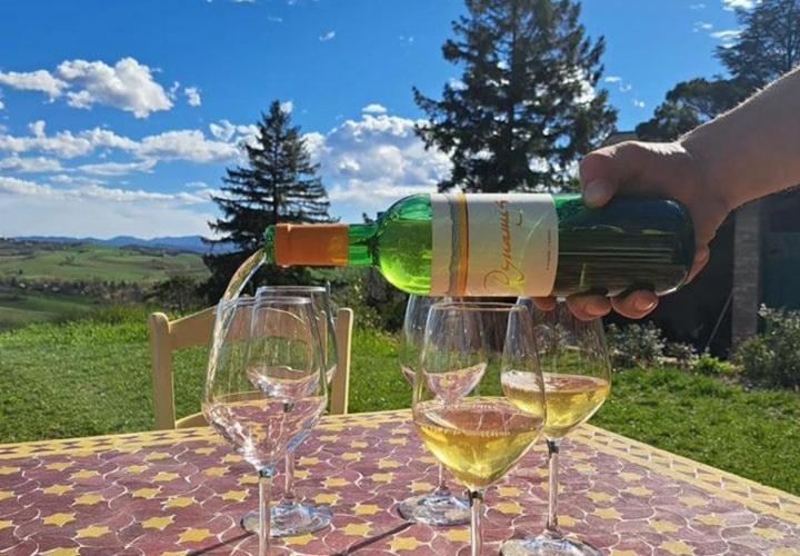 una persona que vierte vino blanco en dos copas de vino en Casa di Bimba, en Quarto