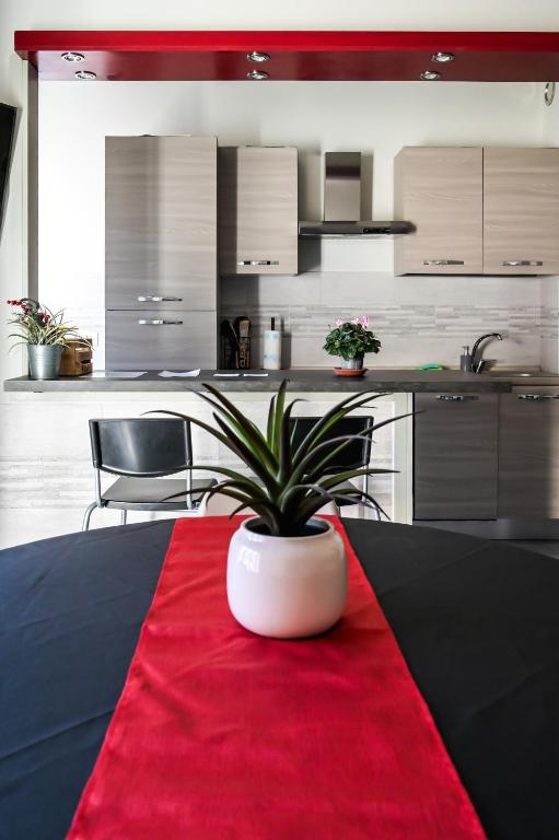 a kitchen with a table with a potted plant on a red rug at La casa del Koala in Cuneo
