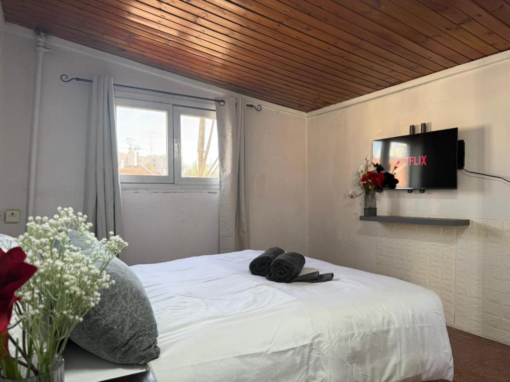 Μια τηλεόραση ή/και κέντρο ψυχαγωγίας στο Rooftop flat in Jerusalem