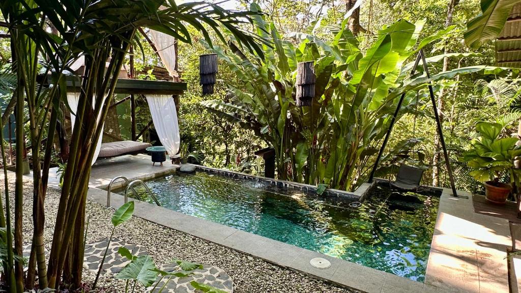 Canaima Chill House في شاطئ سانتا تيريزا: مسبح وسط حديقة