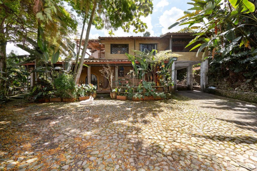 Zahrada ubytování The Secret Buddha