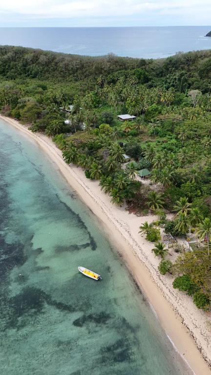 المناظر الطبيعية بالقرب من الفندق