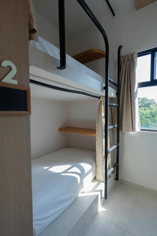 Mayan Monkey Tulum - Social Hostel - Bett Im Gemischten Schlafsaal Mit 12 Betten