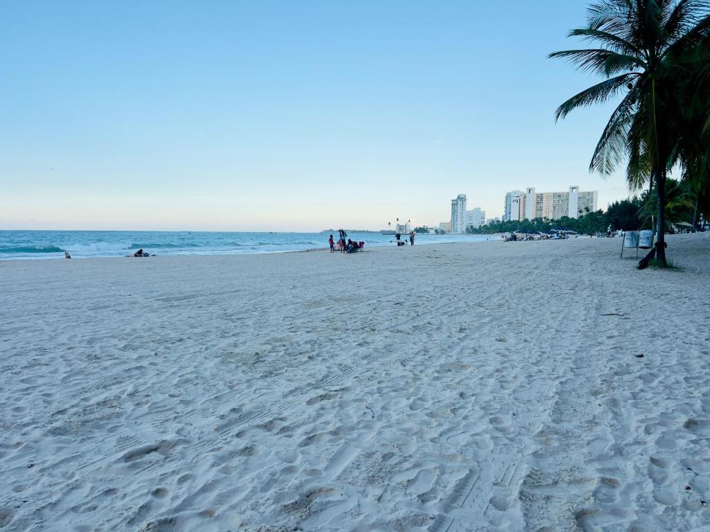 una spiaggia sabbiosa con una palma e l'oceano di Ocean View Apartment inside ESJ Hotel a San Juan