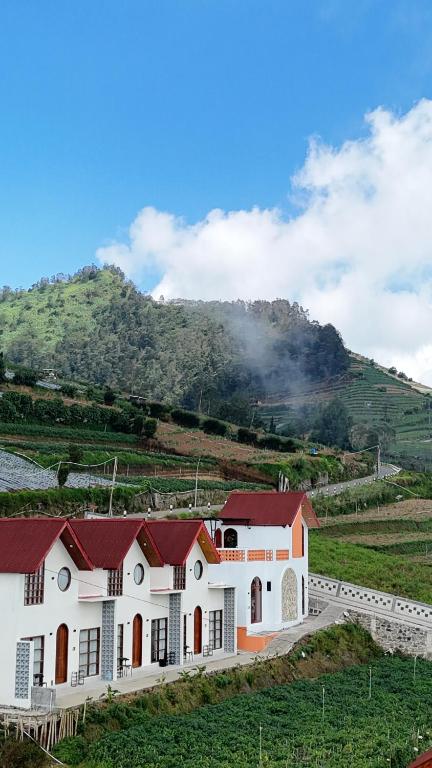Ein weißes Gebäude mit roten Dächern vor einem Berg in der Unterkunft Arutala Villa 4-7 Lautan Awan in Diyeng