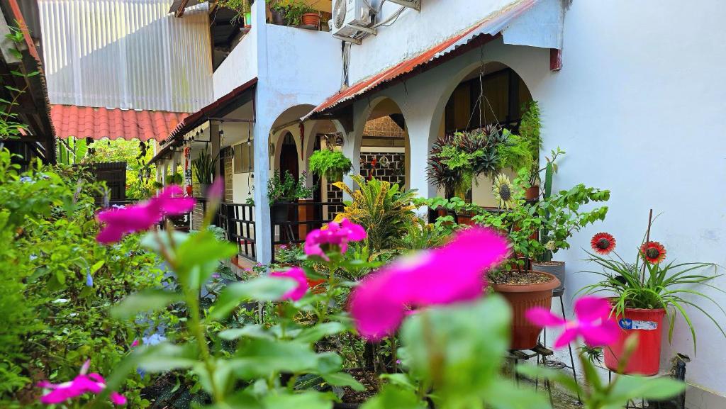 een gebouw met roze bloemen ervoor bij Hospedaje plaza inn in Nauta