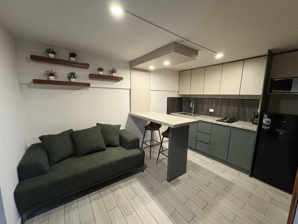 Kuchyň nebo kuchyňský kout v ubytování Executive Dept