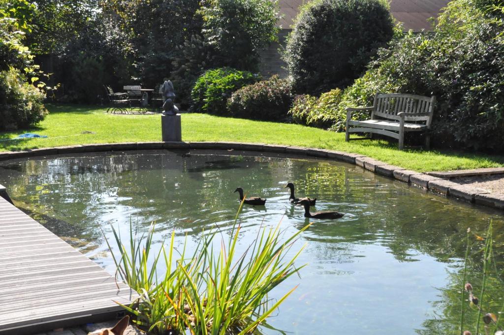 Derechos de imagen reservados por Booking.com