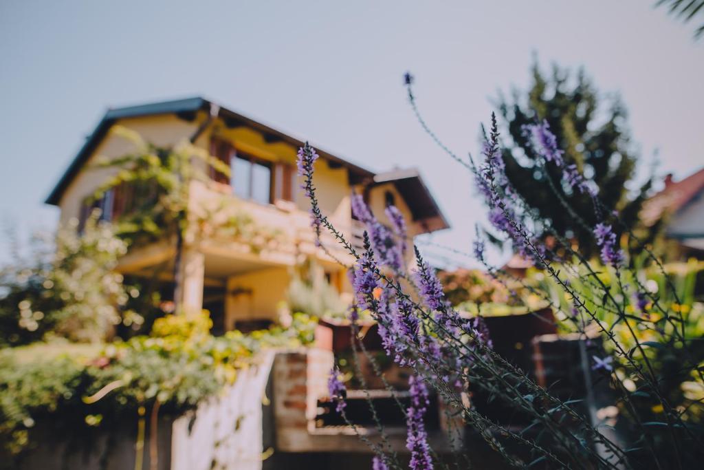 een huis met paarse bloemen ervoor bij Holiday Home Castanea in Praporčan