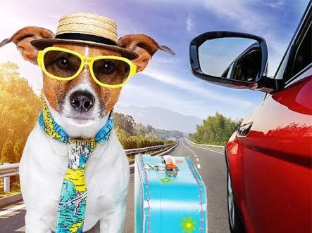  Suites&Chalés Madalenas Itamambuca