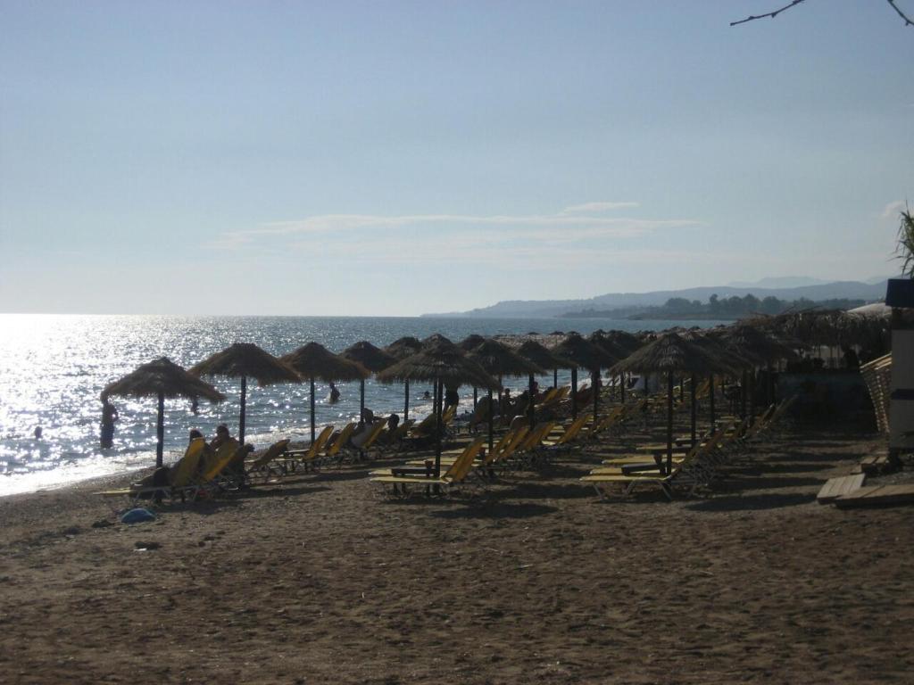 4 Seasons Luxury Apartments - 12