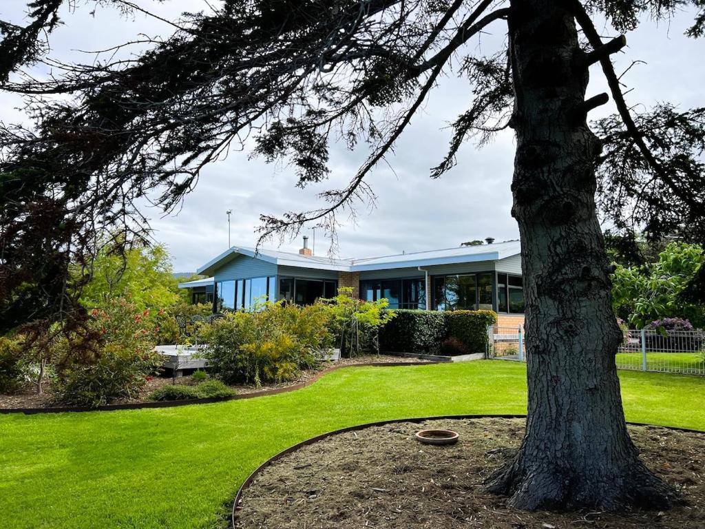 a house with a tree in the middle of a yard at wyeangta - Woodbridge Waterfront Retreat in Woodbridge