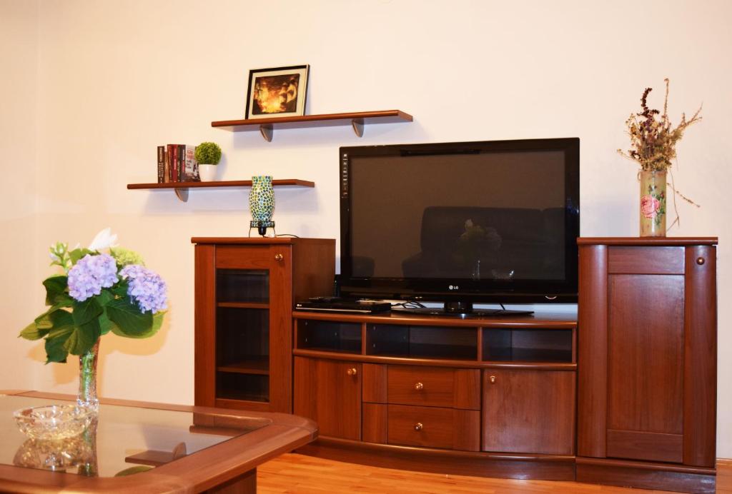 uma sala de estar com televisão num centro de entretenimento em madeira em Apartman Ancora1 em Trebinje