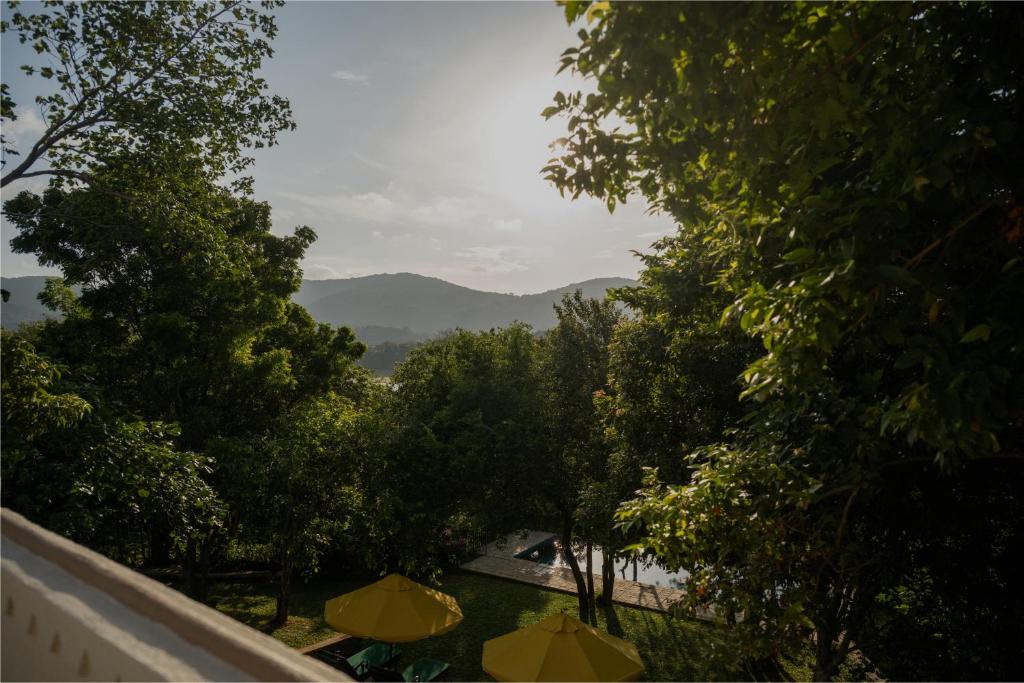 Příroda nedaleko penzionu