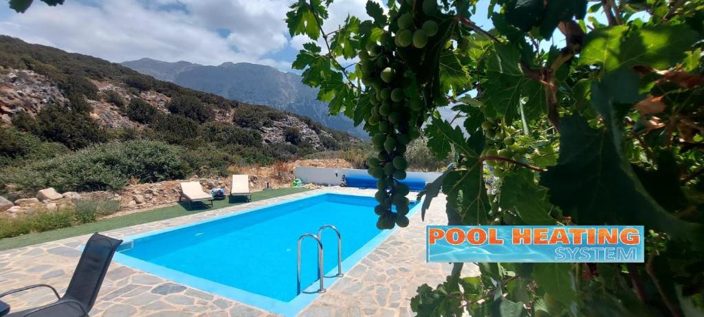 Una piscina con un cartel que dice "piscina curativa" en Villa Edna Crete, en Agios Nikolaos