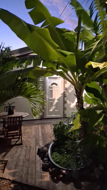 Zahrada ubytování Maisonnette Ti Édèn