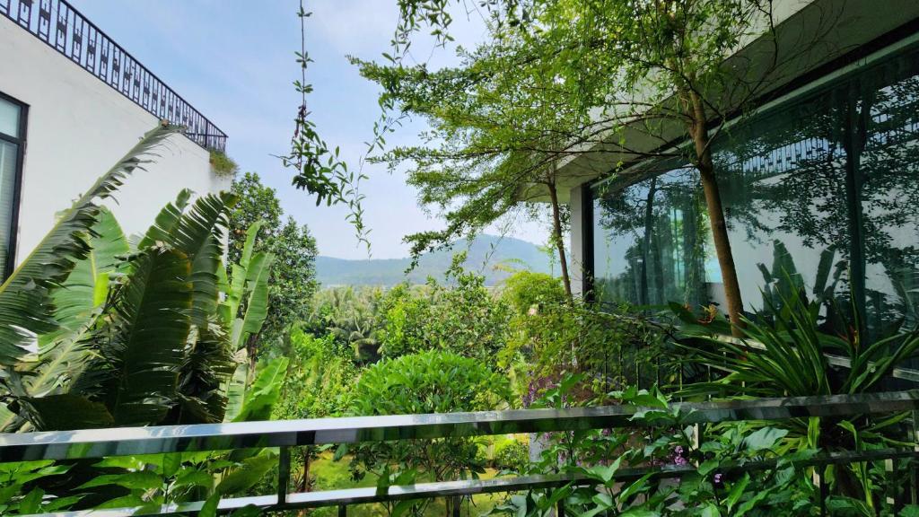 Fotografie z fotogalerie ubytování Miền an trú giữa rừng thông reo v destinaci Phúc Yên