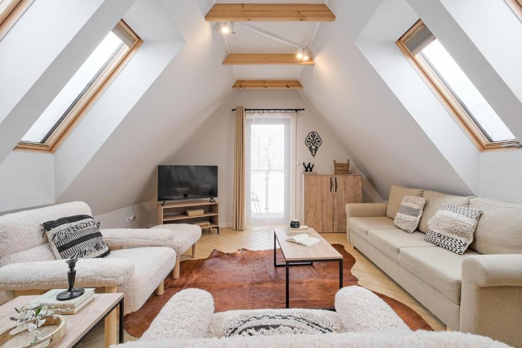 Apartamenty SKI Apartments, Odkryj-Bialke - Two-Bedroom Superior Apartment