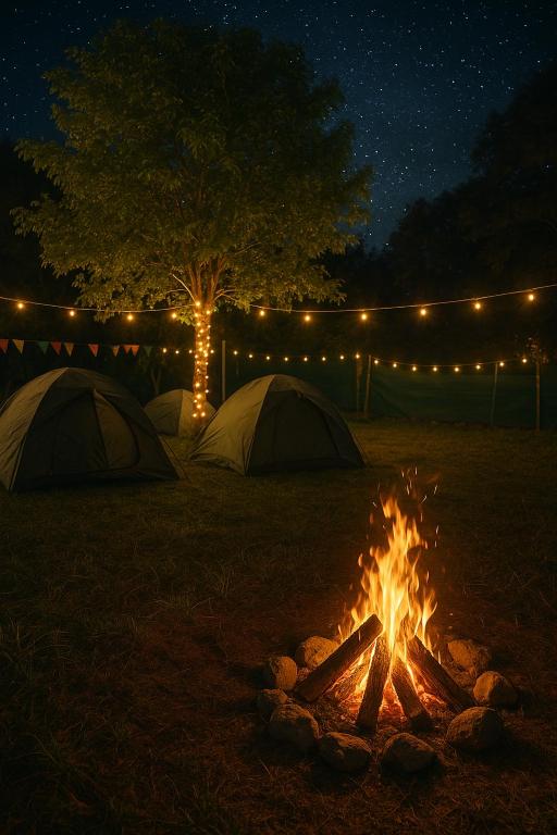 DāmbukThe Wooden Haven的夜里，田野里有两个帐篷和一堆篝火。