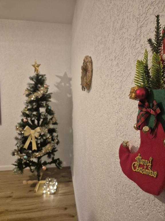LE 16 - Très bel Appartement 3 chambres rénové pour 8 personnes – photo 20